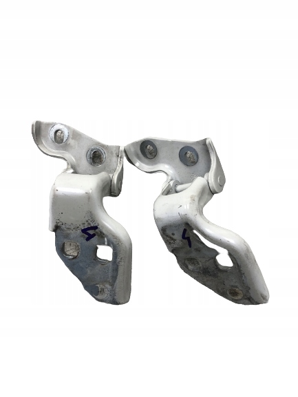 фото №1, Петлі двері правий перед fiat ducato iii