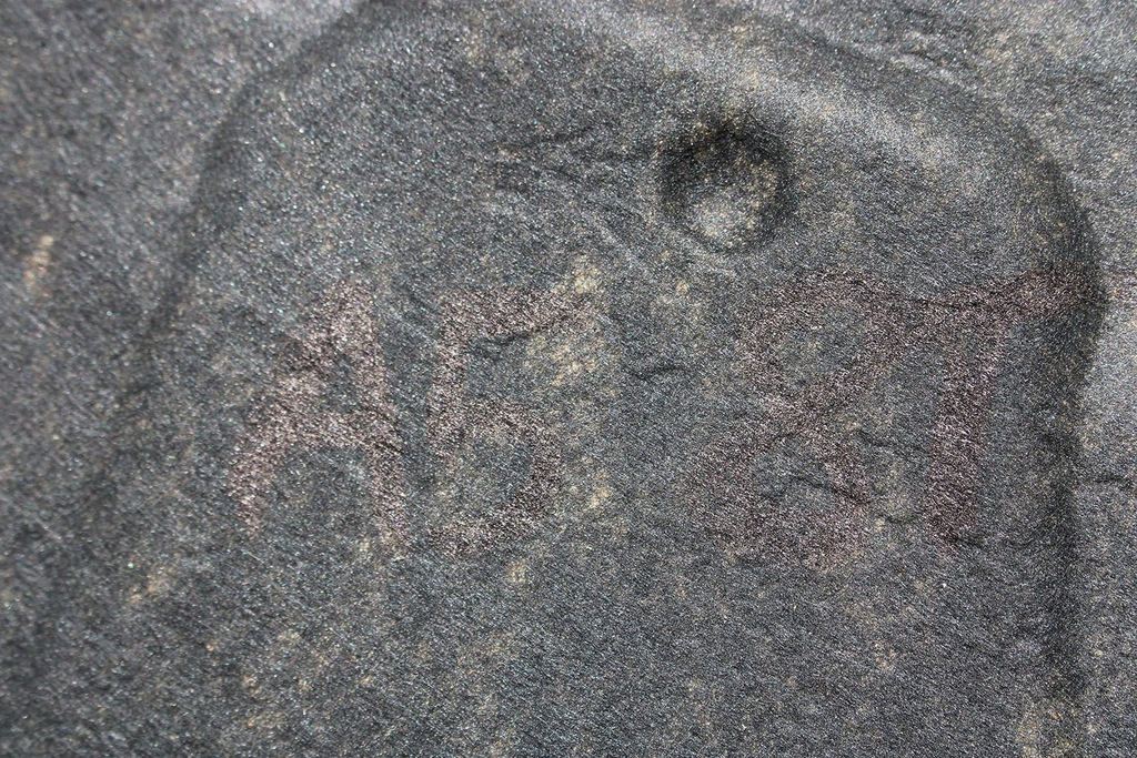 фото №5, Audi a5 8t капот передня перед 8t0863825 8t0 863 825 шумоізоляція wyciszeni