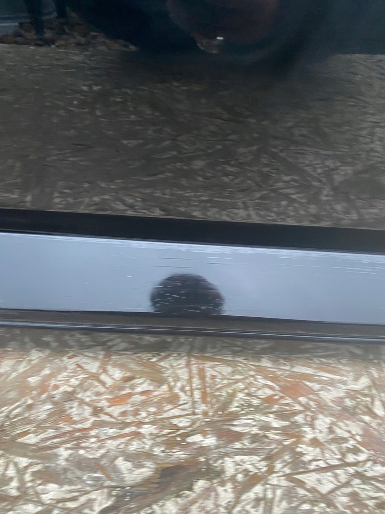 фото №11, Kia ev6 дверь правое перед передние правое