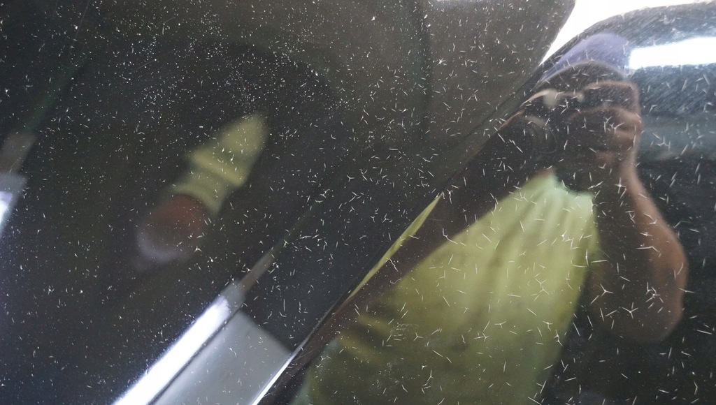 фото №14, Капот крышка перед alfa romeo brera