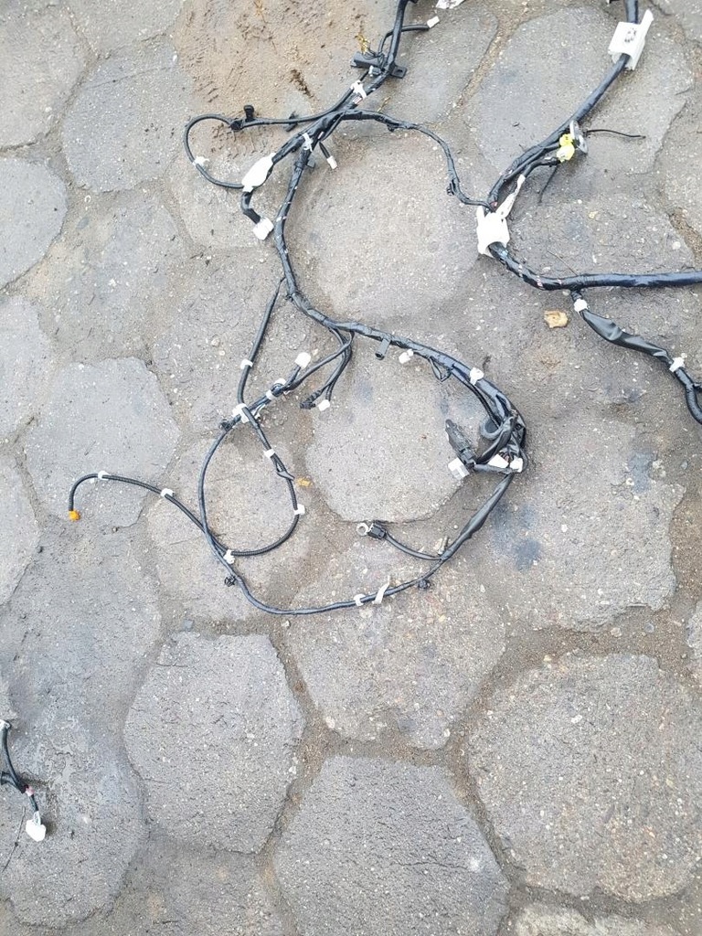 фото №9, Джгут електропроводка салону europa infiniti fx30d