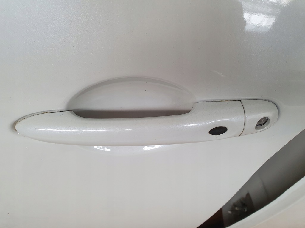 фото №5, Двері перед праве правий повний renault zoe i teqnc білий