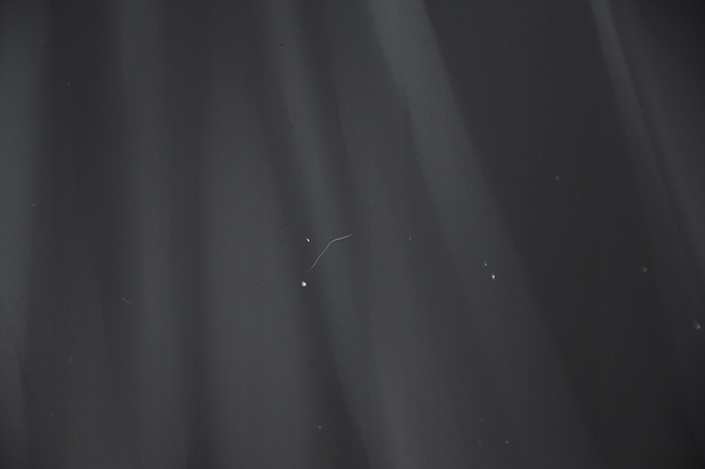 фото №7, Капот крышка двигателя jaguar xf x250