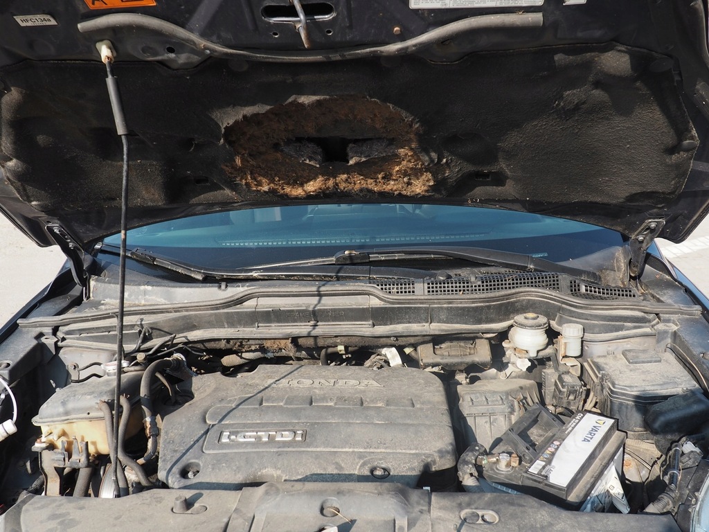 фото №16, Honda cr-v 3 2,2d 2006-09 рамка радіо 77250-swa-a0