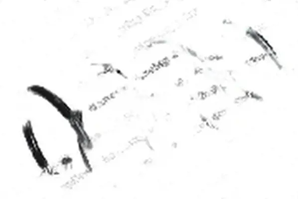 Купити Пружина підвіска 4056909 lesjöfors