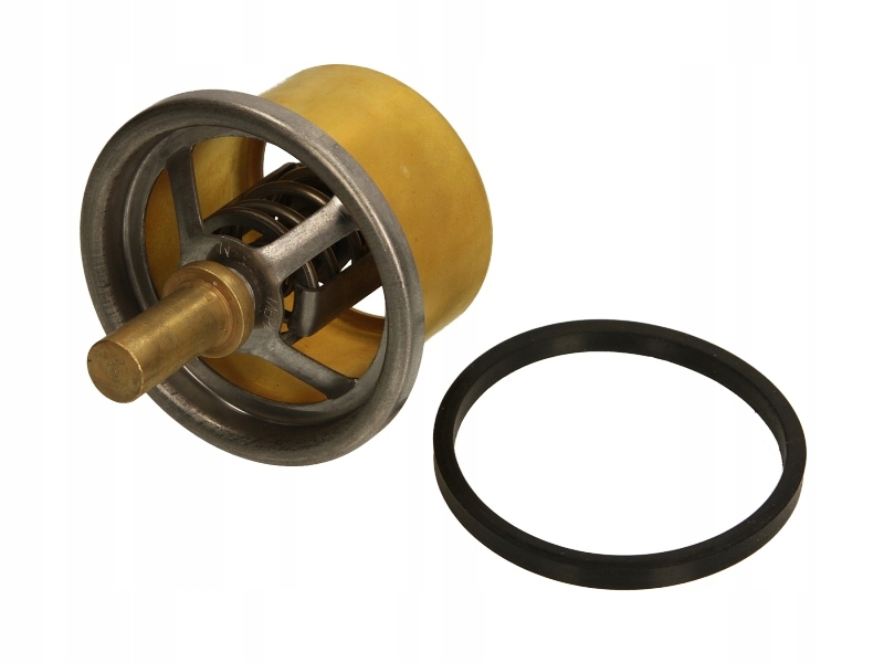 фото №1, Термостат рідина thermotec d2da004tt