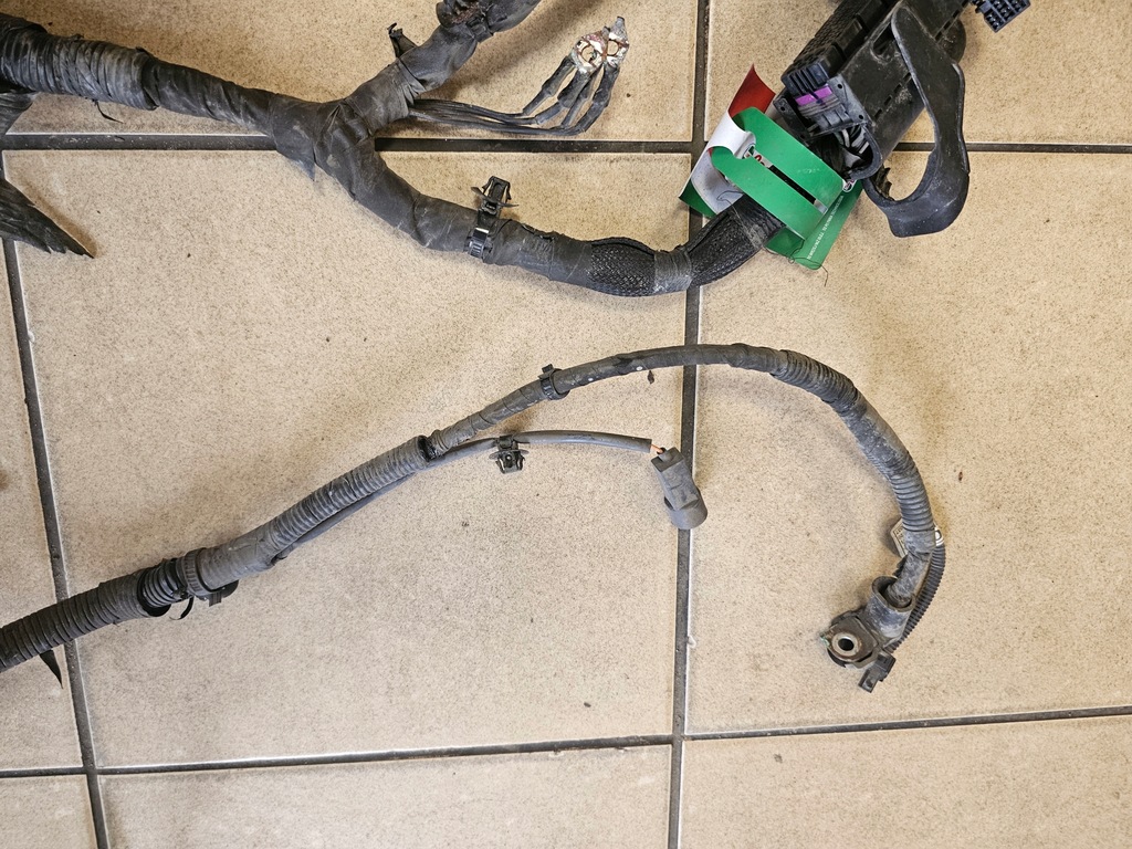 фото №6, Жгут двигателя kia rio ii 09' 1.4 16v