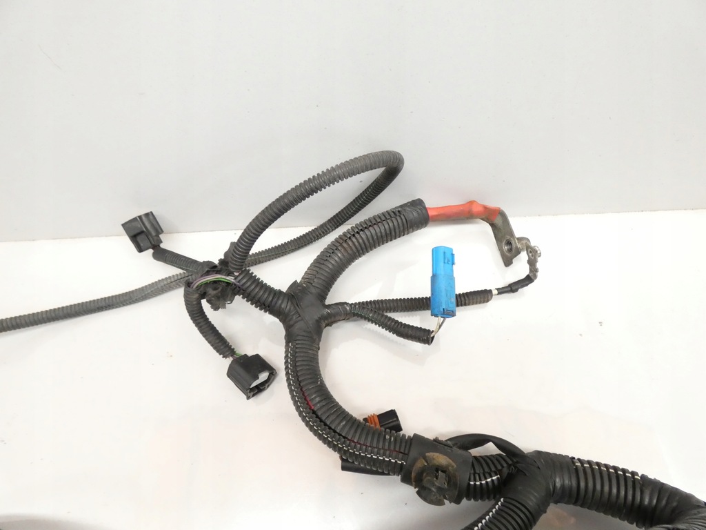 фото №12, Жгут электропроводка двигателя dacia logan mcv i ls 1.6 16v k4m 04-12