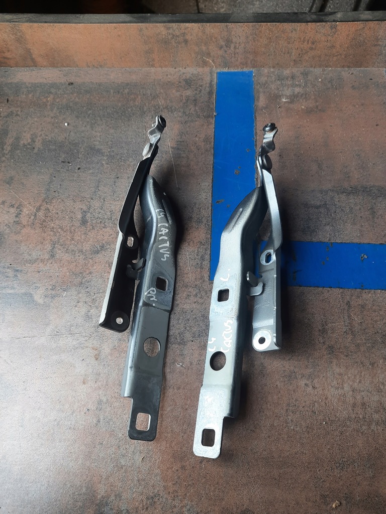 фото №1, C4 cactus петля капот