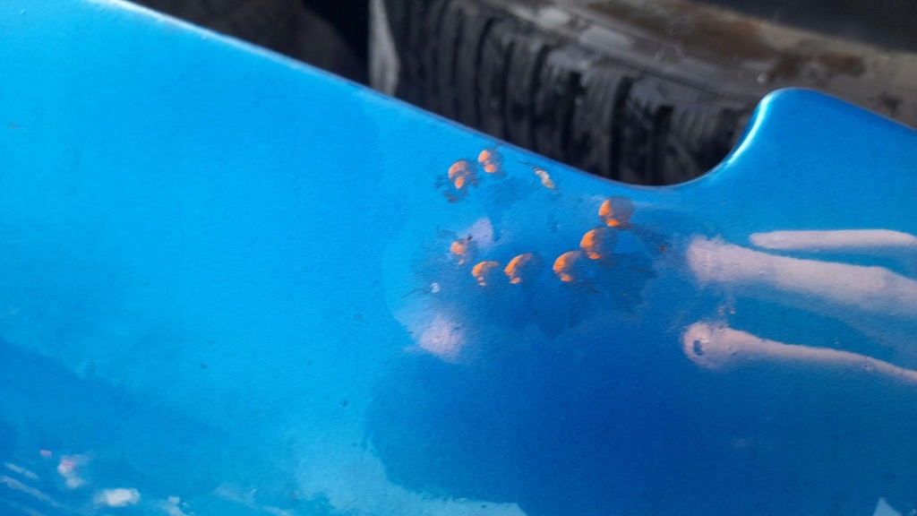 Капот крышка двигателя peugeot 307 Доставка