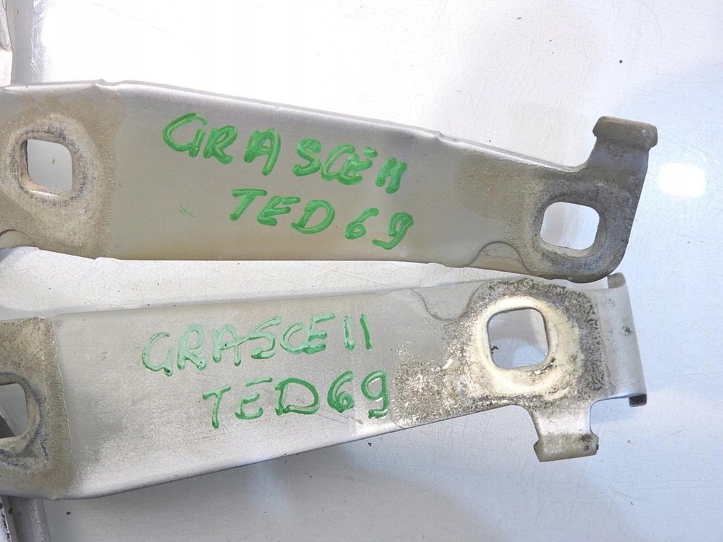 фото №3, Петля петли капот ted69 renault scenic ii