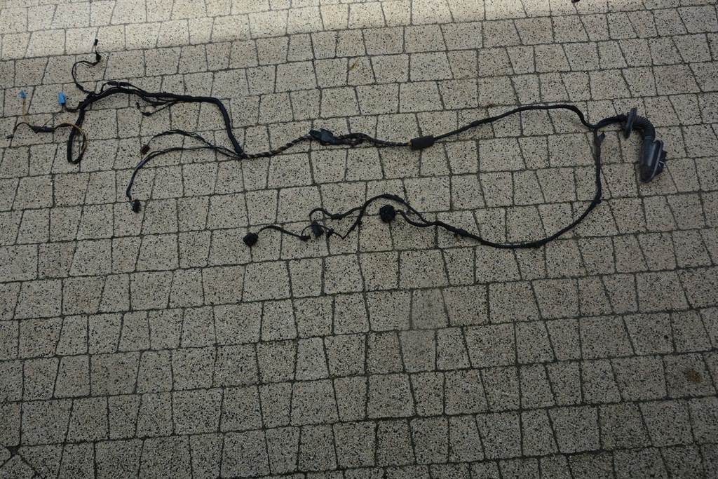 фото №1, Джгут двері лівий перед лівий задня bmw 7 f01