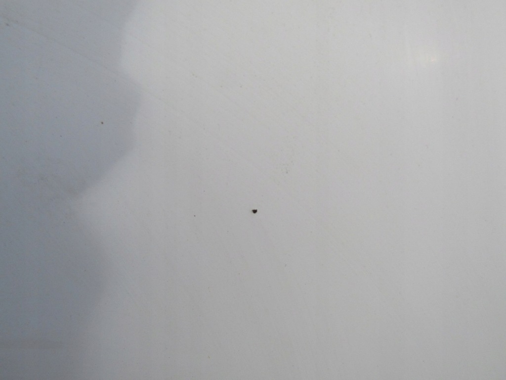 фото №10, Doblo i 03r капот крышка двигателя