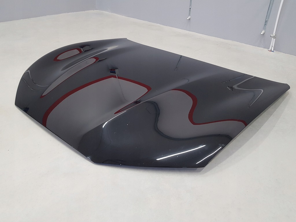 фото №13, Ford mustang e-mach 20- капот