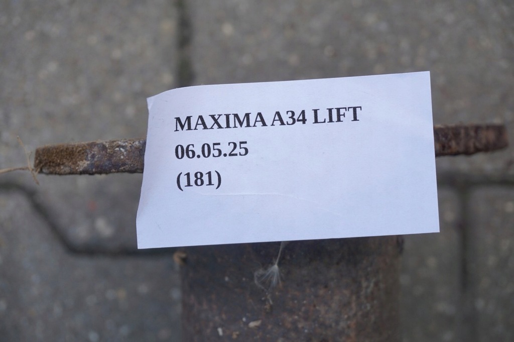 фото №11, Труба вихлопна гасник nissan maxima a34 vi 2004-2008