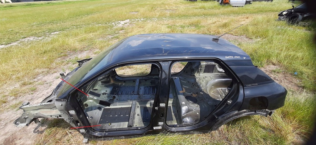 фото №4, Крыша citroen c4 cactus lift