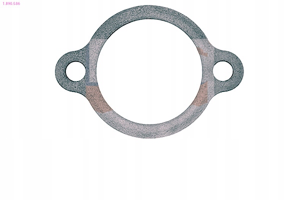 фото №2, Eps 1.890.586 прокладка, термостат