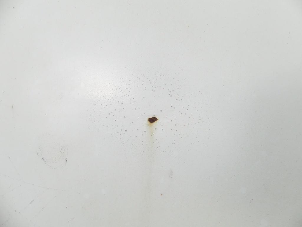 фото №10, Дверь перед правое iveco daily iv 06-11