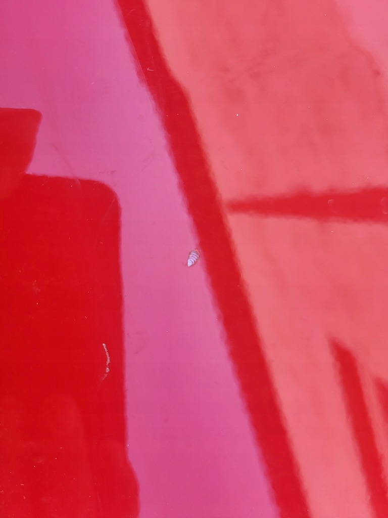 фото №7, Капот кришка двигуна renault mascott lift