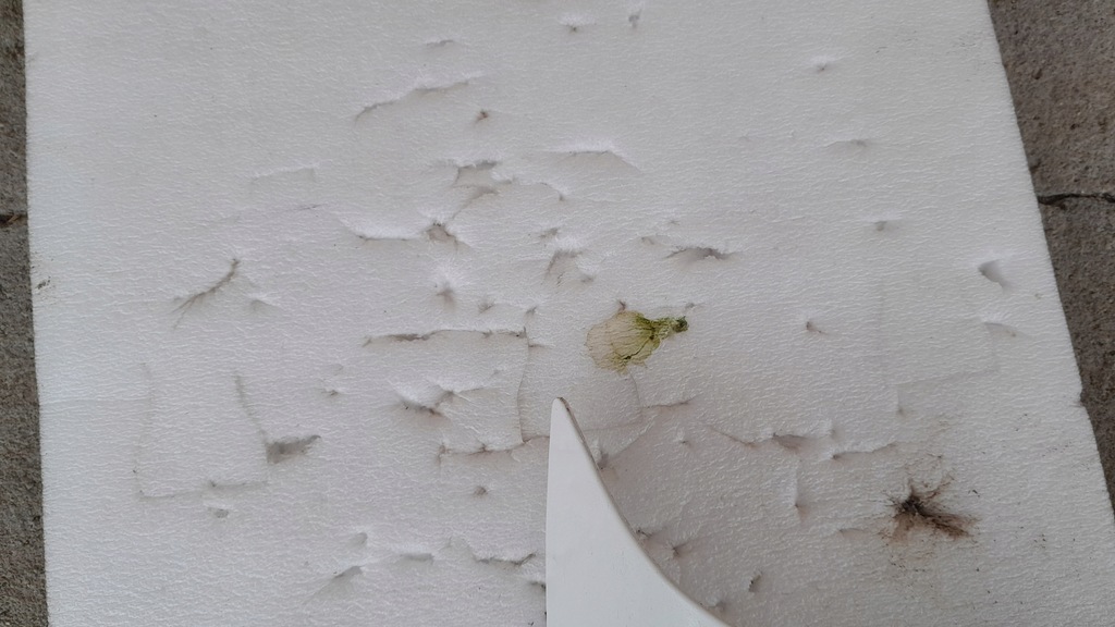 фото №12, Peugeot berlingo partner rifter капот ładna білий