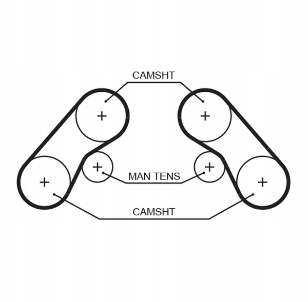 фото №2, Ремень распределительного вала 5576xs gates