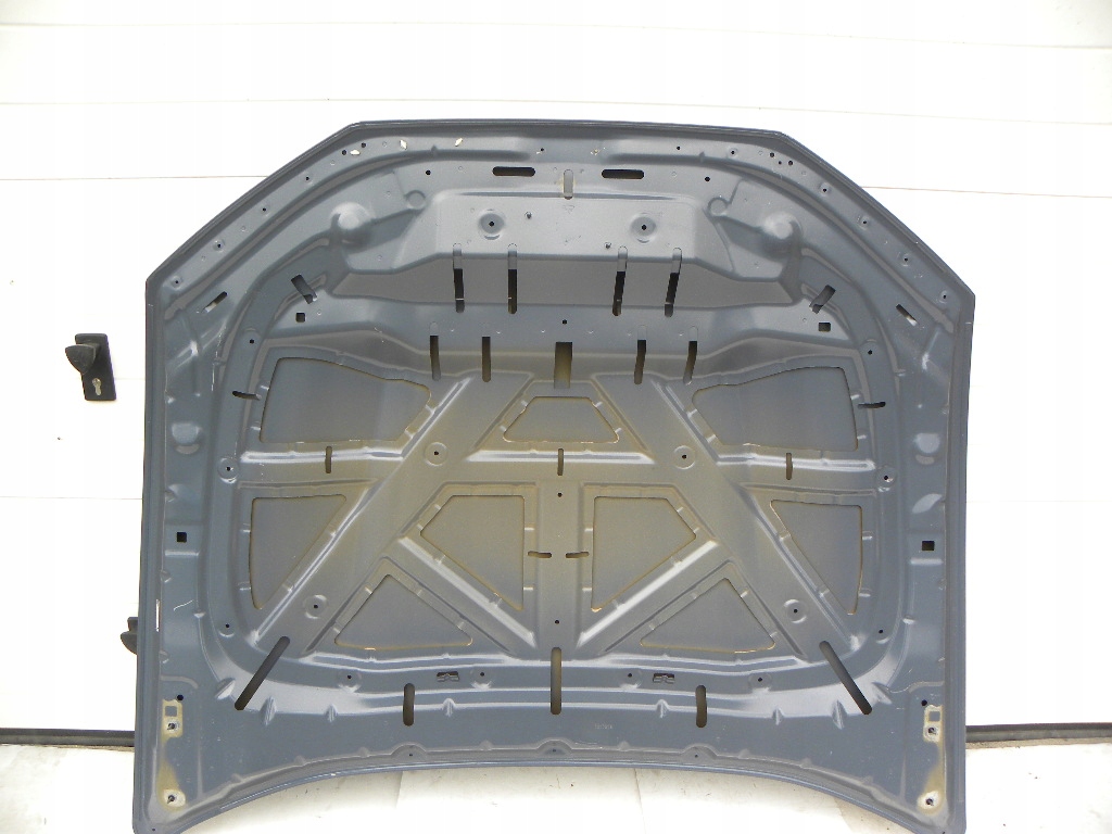 фото №11, Ford mustang mache-e капот передняя