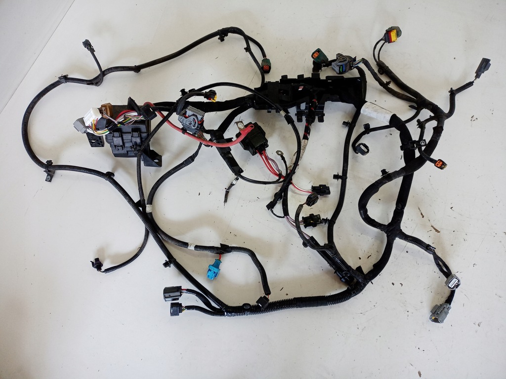 фото №1, Електропроводка двигуна renault fluence ze