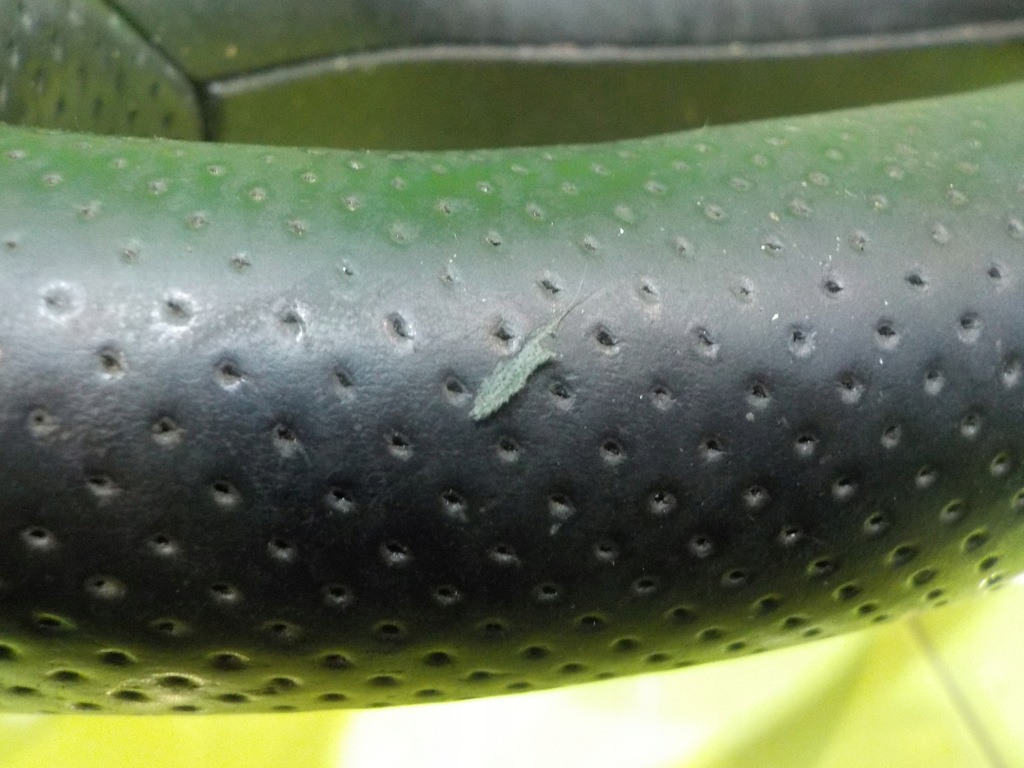 фото №8, Opel insignia a i lift 15r повітропровід