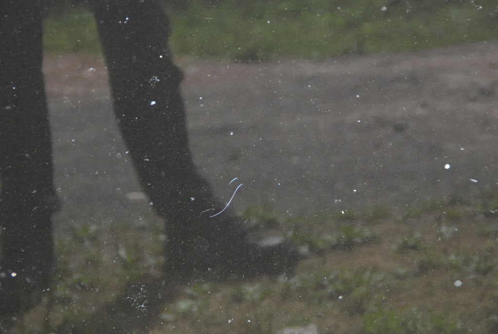 фото №5, Крышка двигателя капот nissan navara d40 05r- 10