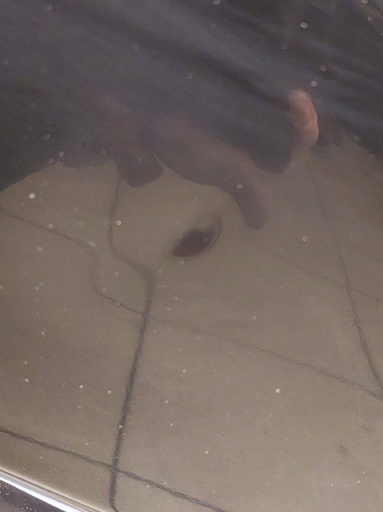 фото №11, Mitsubishi outlander i дверь правый перед