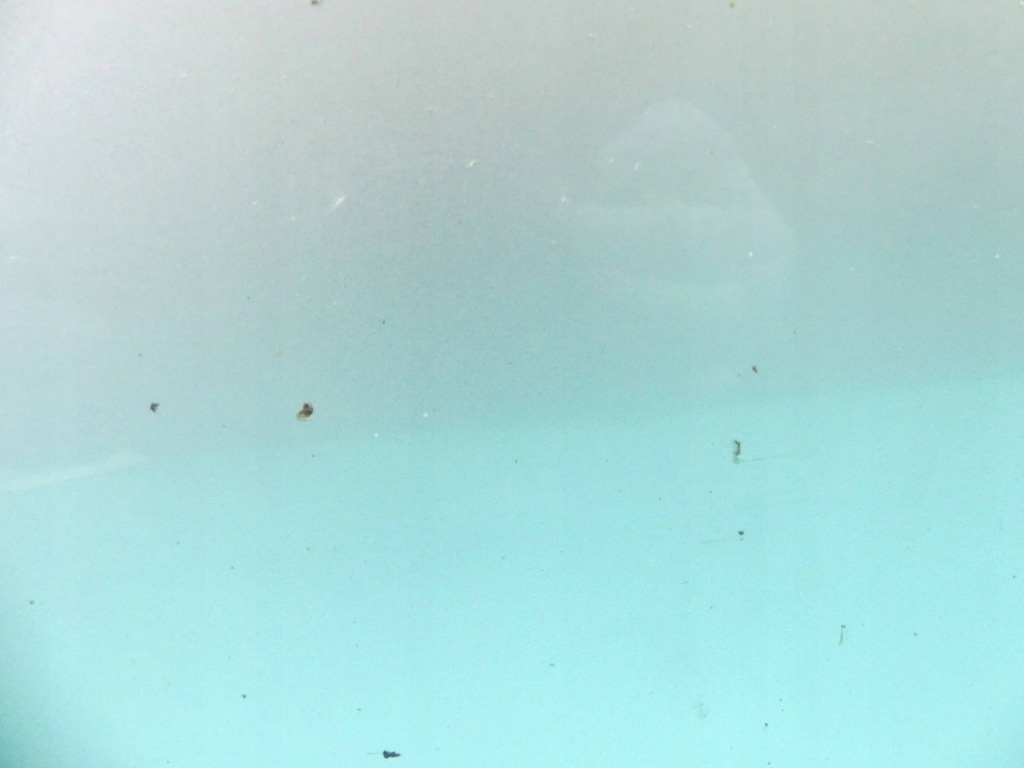 фото №7, Дверь задняя левая alfa romeo 159 kombi sw 568/a