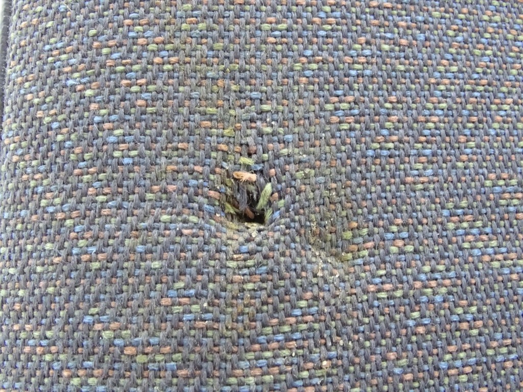 фото №8, Ford transit mk6 00-06 сиденье правый пассажира одиночное