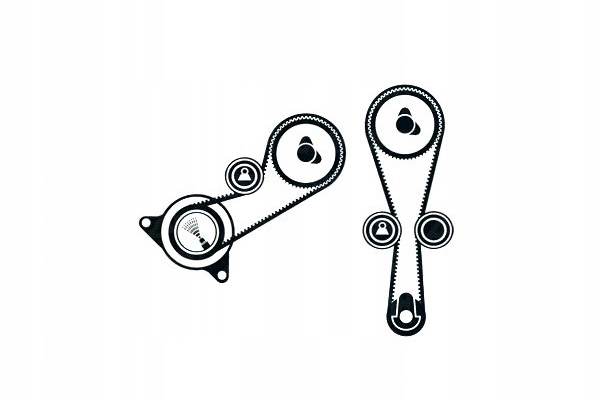 фото №2, Комплект - набор ремень распределительного вала skf 14325p5tg00 lh