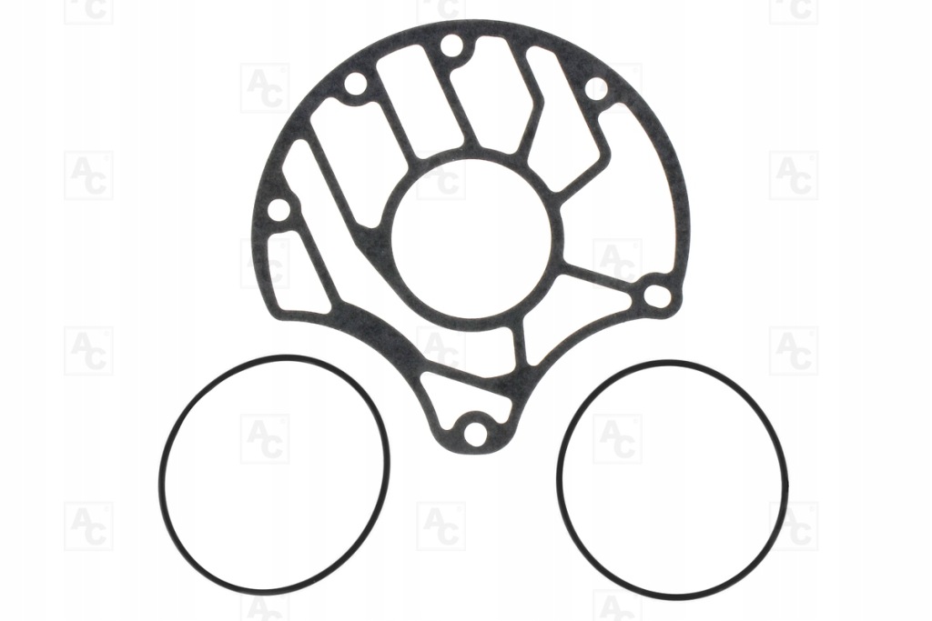 фото №1, Набір kpl.oringów i прокладка pod stator dct450 stator g