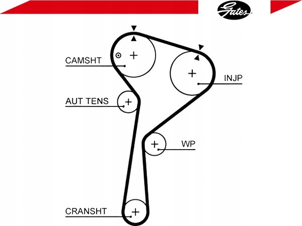 фото №2, Ремень распределительного вала dacia lodgy 1.5 dci