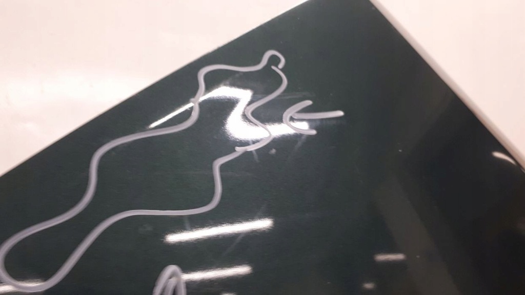 фото №10, Bentley continental 2005-2013 двері ліва перед