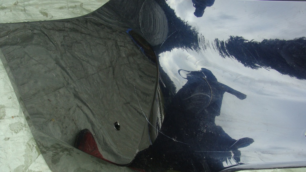 фото №13, Bmw 5 g30 m-pakiet sedan бампер задний бампер задняя 51128064711