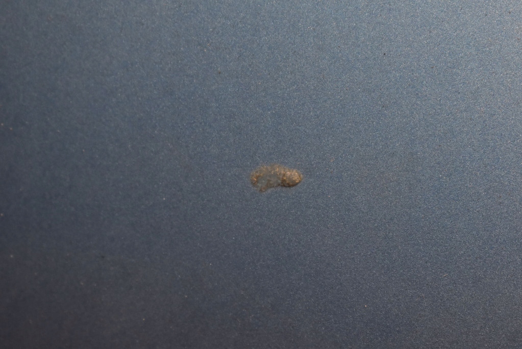 фото №7, Крыло левый перед передний la5r seat ibiza 4 iv 6j 12-15