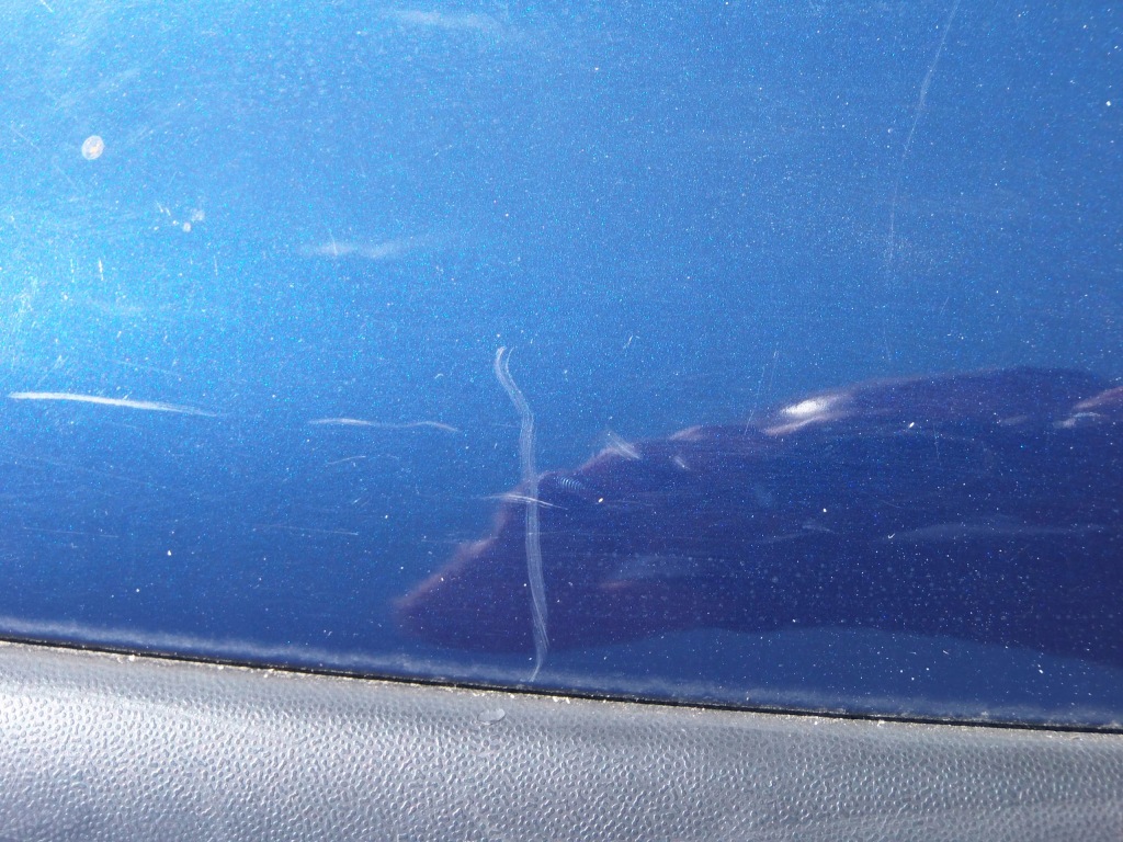 фото №13, Бампер задняя lb5n vw polo 9n iv eu 3 дверь