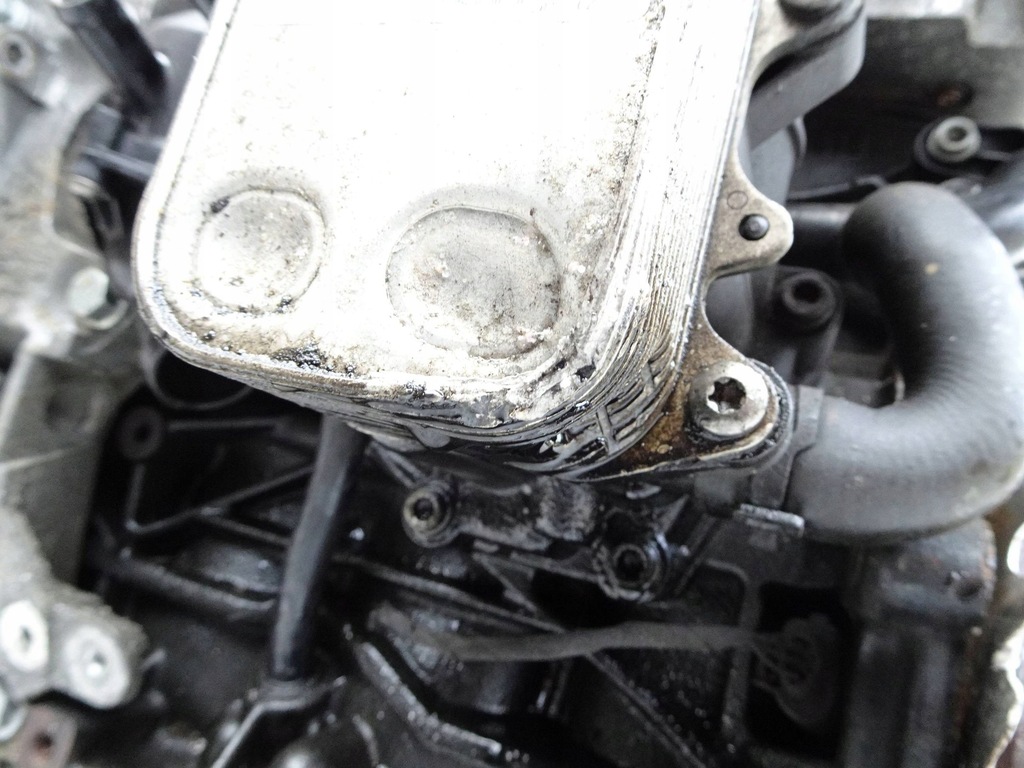 фото №10, Двигатель vw golf vi seat skoda audi 1.6 tdi cay