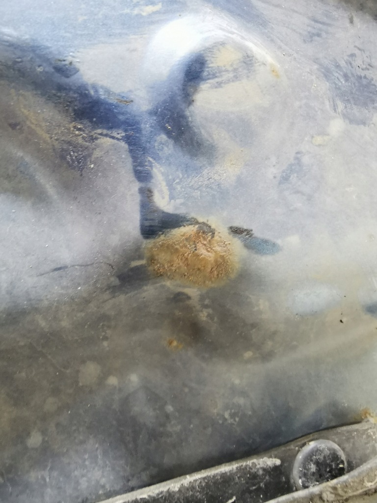 фото №9, Ford ranger 06/09 капот кришка кришка багажника перед шумоізоляція