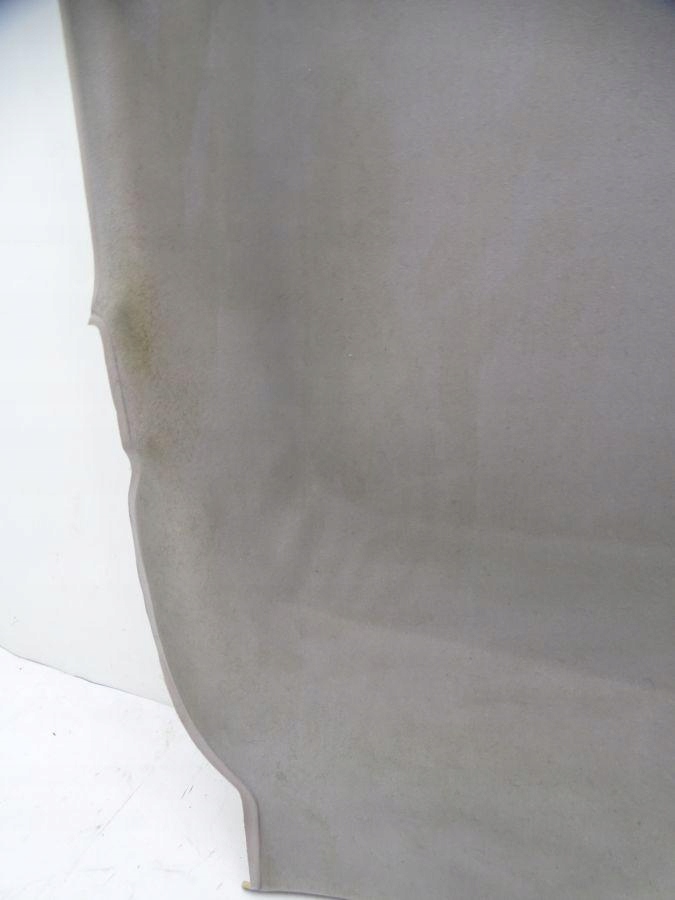 Renault scenic 3 09-16 потолок 739100147r Киев