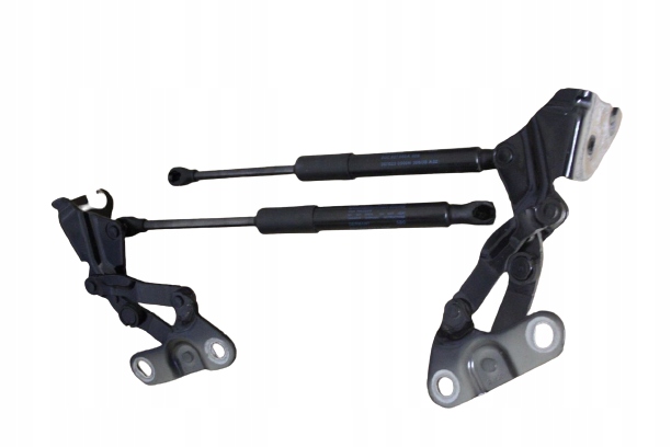 фото №1, Амортизаторы петли крышки vw troc cabrio 2gc827901a