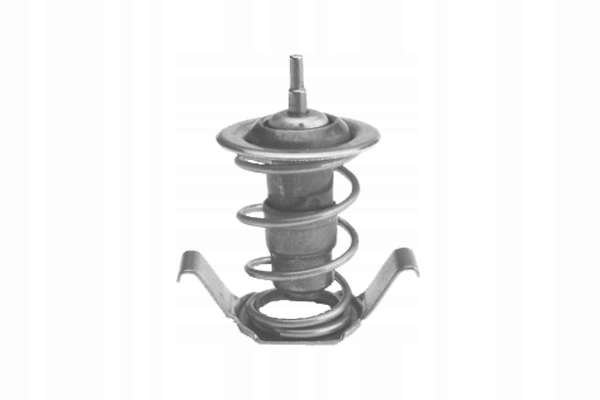 фото №2, Термостат skoda