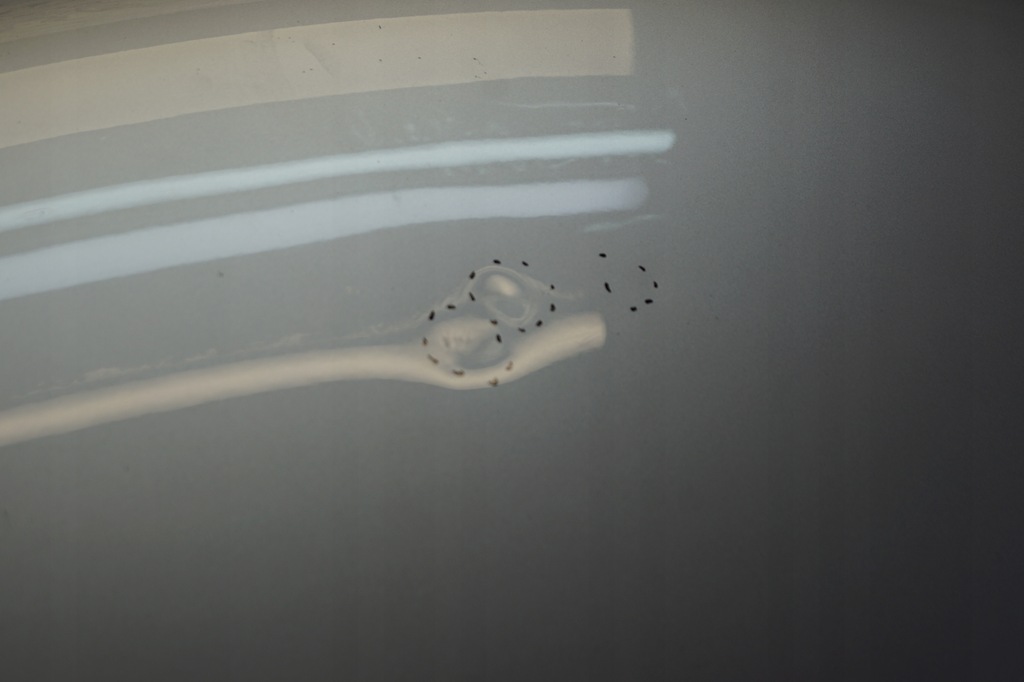 фото №7, Капот кришка двигуна vw golf v 5 plus