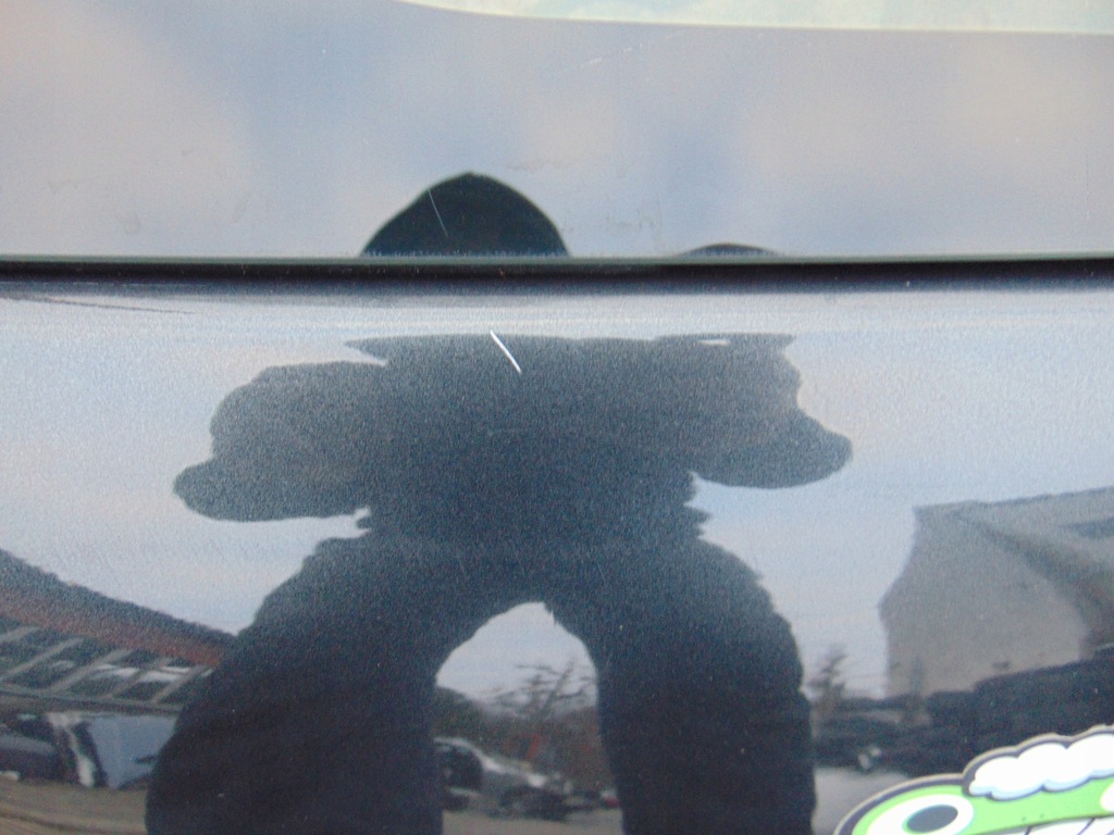 фото №8, Комплектная крышка багажника багажника dacia sandero i tekna eu