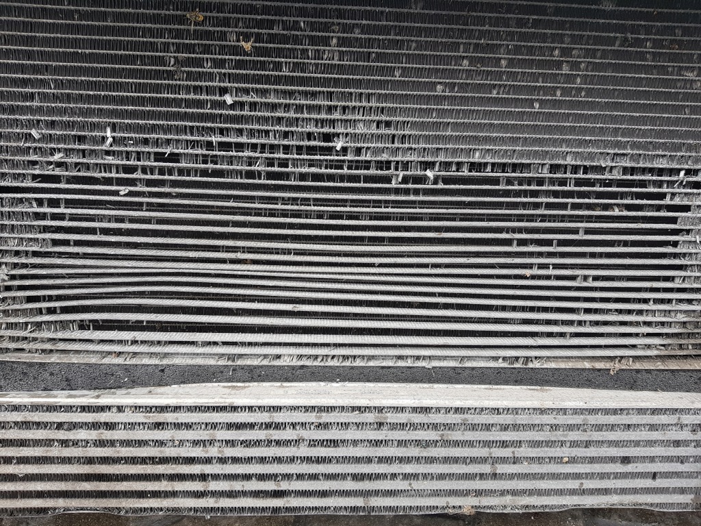 Renault megane 3 08-11r 1.4 tce ремень передний радиатор вентилятор в Украине