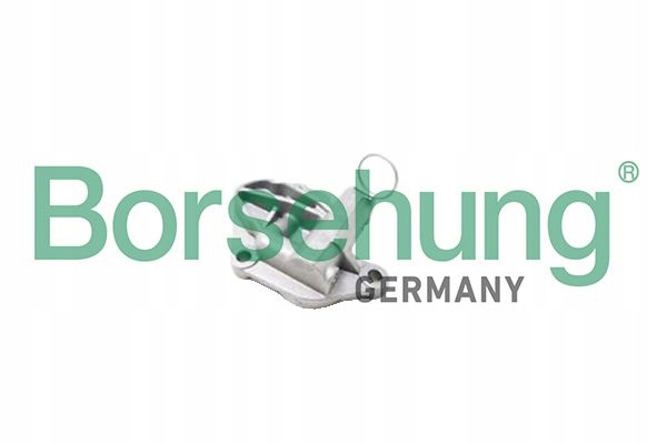 фото №1, Borsehung b1t003 натяжитель, цепь распределительного вала