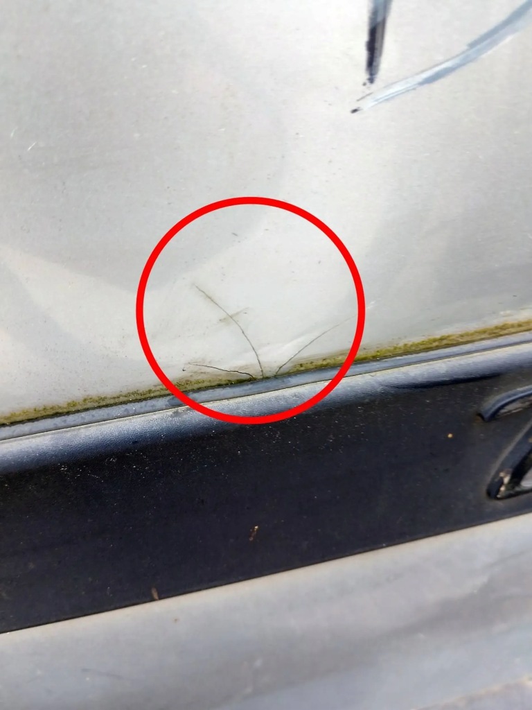 фото №3, Citroen berlingo i lift двері праве задня задні