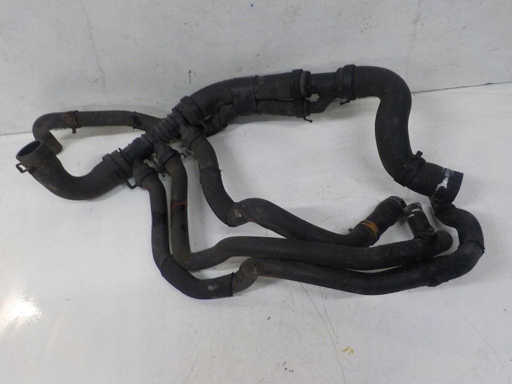 фото №1, Scenic ii 1.9 dci 130km waz шланг wody